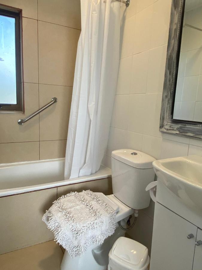 Apart Hotel Don Domingo Темуко Екстериор снимка
