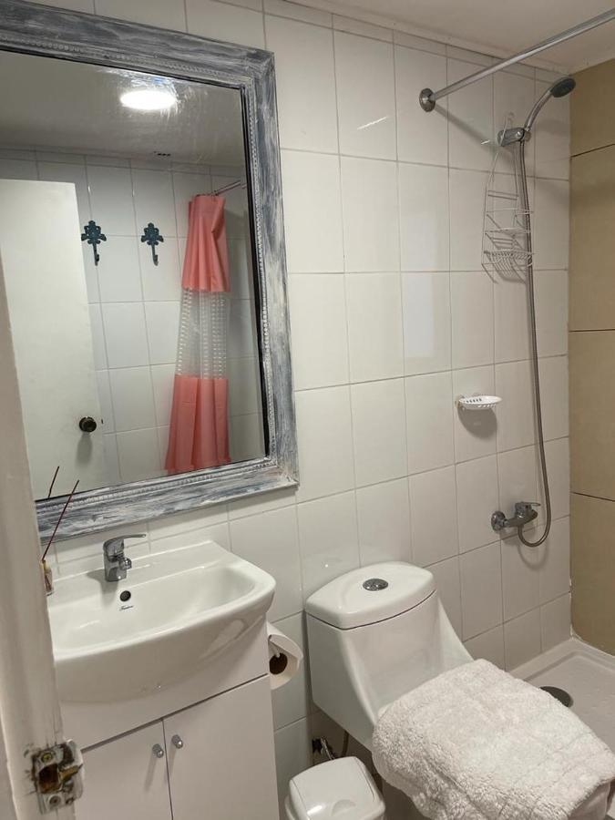 Apart Hotel Don Domingo Темуко Екстериор снимка