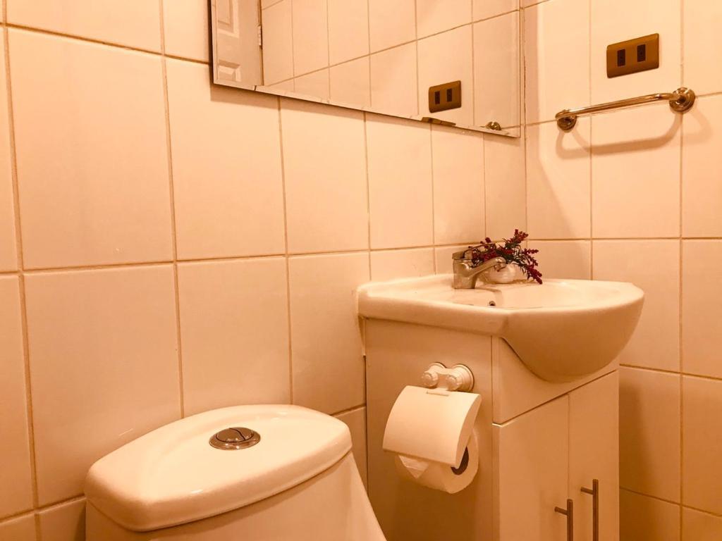 Apart Hotel Don Domingo Темуко Екстериор снимка